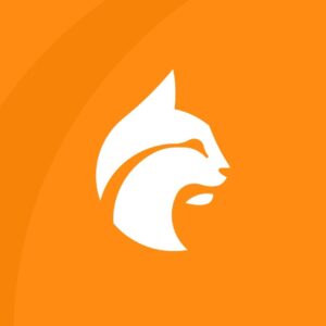 PER  Linxea - Spirit  - Suravenir